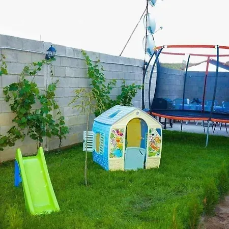 силвия Penzion